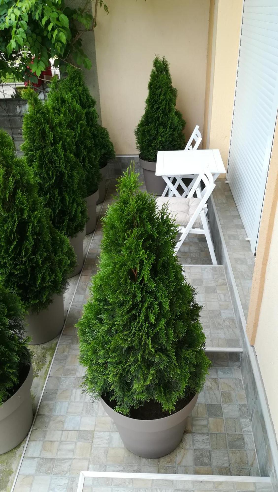 M4U Apartments Ni Eksteriør bilde